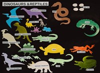 Dinosaurs and Reptiles Die-Cuts