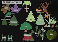 Plants and Trees Die-Cuts