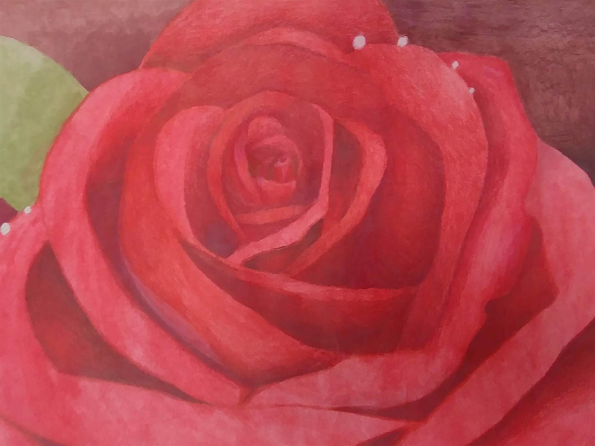 Painted Red Rose